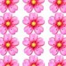 ずったか🌸 profil fotoğrafı