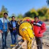 Profilbild von rajkumar kushwaha