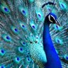 JunoArgus ๐ฎ๐ฑ ๐ ๐โฅ๏ธ๐๐๐ค's profile picture