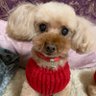 ミミ's profile picture
