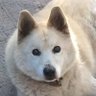 BoT8Bツトム profil fotoğrafı