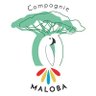 Cie MALOBA 的头像