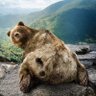 Новое имя в профиле. profil fotoğrafı