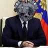 Profilbild von Bayraktarrrrrrrr
