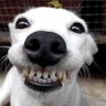 me so happy 的头像