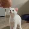 Profilbild von 主に愚痴ときどき日常 サブ垢