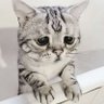 Profilbild von TT
