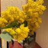 Фото профиля カンカンカンジダ