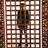Ivan Israel 的头像