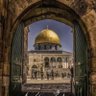 Фото профиля Alyeldin Arbuod