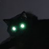 Profilbild von Fawse