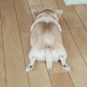 すずな's profile picture