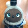 ふくべえ@LOVOT profil fotoğrafı