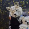 Reinn Wolf🐾 profil fotoğrafı