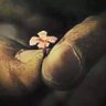 يوسف الزهراني's profile picture