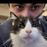 Profilbild von Pablo.-