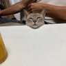 ふく太郎's profile picture