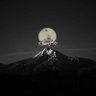 طَوْدٌ رَاسِخ 的头像