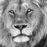 MongaML's profile picture