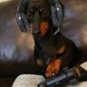El Toby Gamer👁️'s profile picture