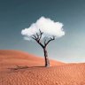 Abdulraqeeb A 的头像