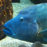 Фото профиля せがべ