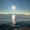 Profilbild von SeattleDude2419