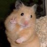 Profilbild von 𝐉𝐀𝐒𝐌𝐈𝐍𝐄 𖠊