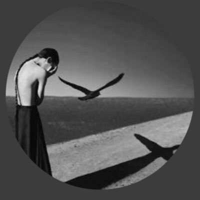 PedroLasprilla's profile picture