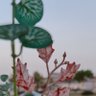 Фото профиля الحربي