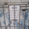 tuitui 的头像