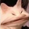 Profilbild von Jan_gte