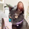 リョウヘイ profil fotoğrafı