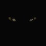Tuitadas's profile picture