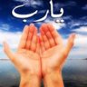 Hasan Zila's profile picture