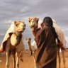 Фото профиля صلفه