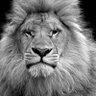 Фото профиля Kaniel Outis