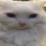 trav's profile picture