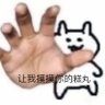 Profilbild von 吉娃吉娃娃