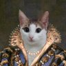 Küçüksurat (bikbik)'s profile picture