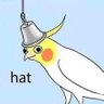 Profilbild von Birdiccus