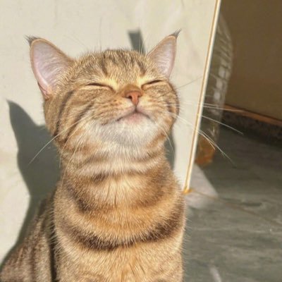 its_aminaa_'s profile picture