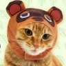 Profilbild von 100TabbyCats 