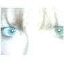 BeX (Beckah_11) ~ᕮ𝓿⫯𝘭Ⲭ'⟆ Ⲙυ⟆∈~'s profile picture