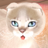 Anne Brown's profile picture