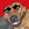wakawaka's profile picture