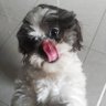 suco do caos natural e em caixinha 🥤's profile picture