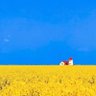 牛眼看世界 profil fotoğrafı