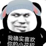 Noisier7 $PARAM 的头像