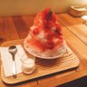 トフシマーク's profile picture